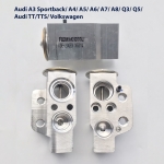 Van tiết lưu Audi TT Van tiết lưu Audi TTS